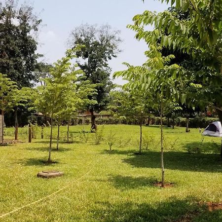 Aivlys Lodge Kilimanjaro Msaranga Εξωτερικό φωτογραφία